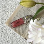 لیپ گلاس کیکو شماره 17